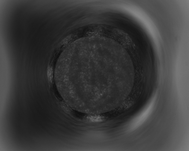 X0000100190767200806201254