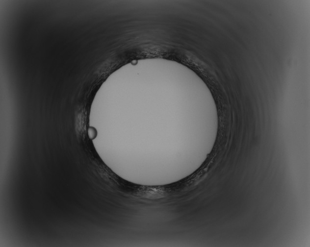 X0000100190768200806201254