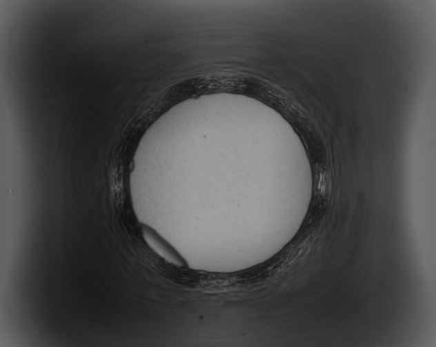 X0000100190771200806201254