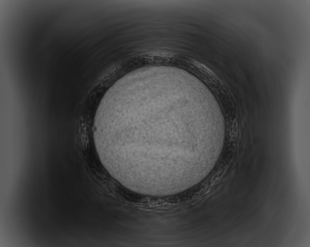 X0000100190774200806201254