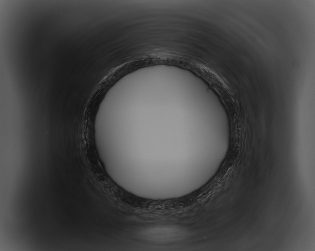 X0000100190776200806201254