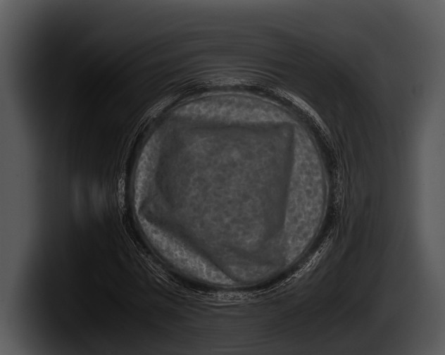 X0000100190777200806201254