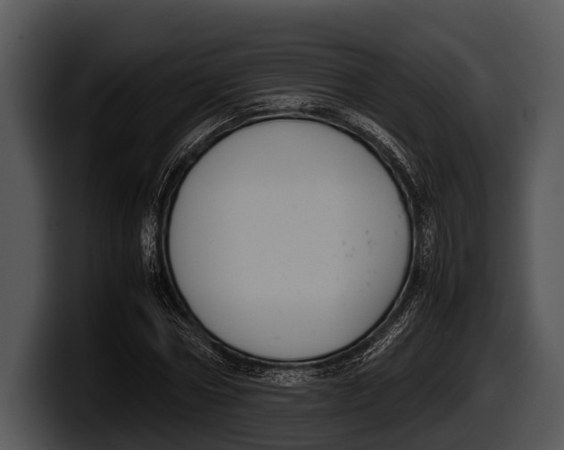 X0000100190778200806201254