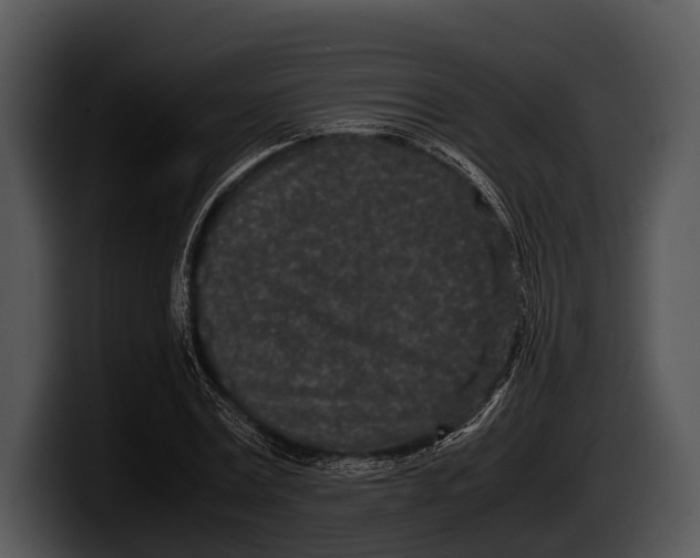 X0000100190779200806201254