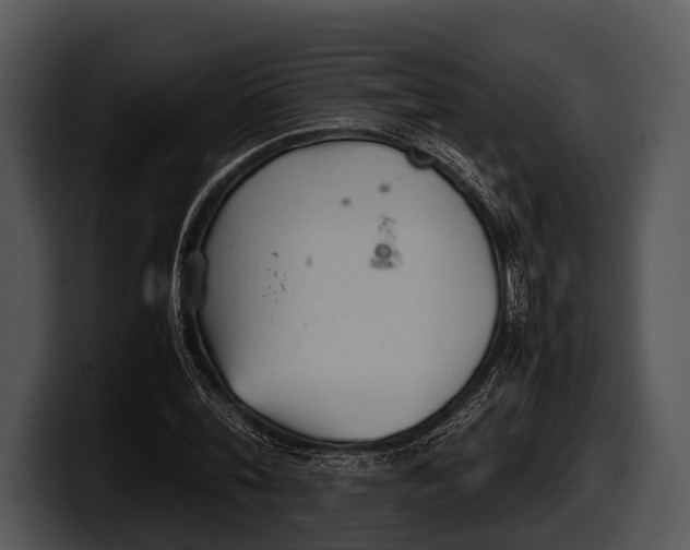 X0000100190780200806201254