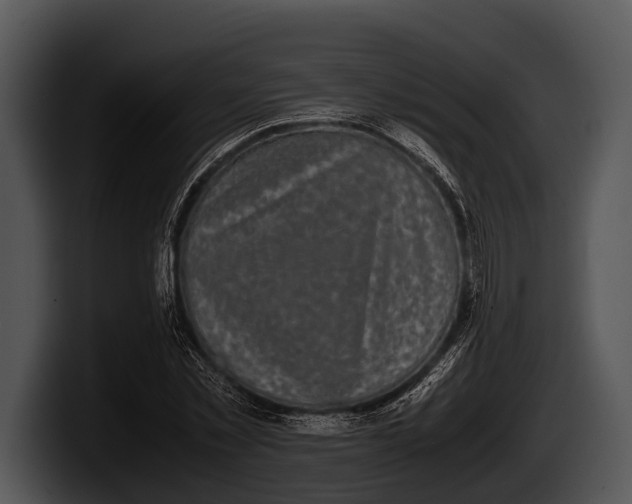 X0000100190781200806201254