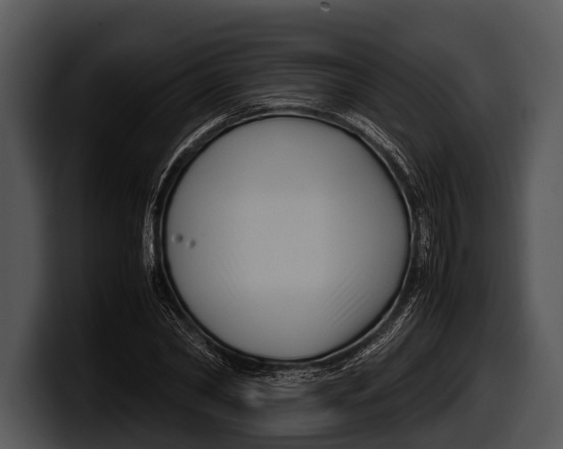 X0000100190782200806201253