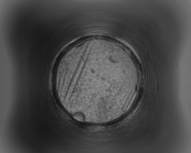 X0000100190783200806201253