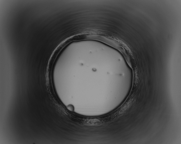 X0000100190784200806201253