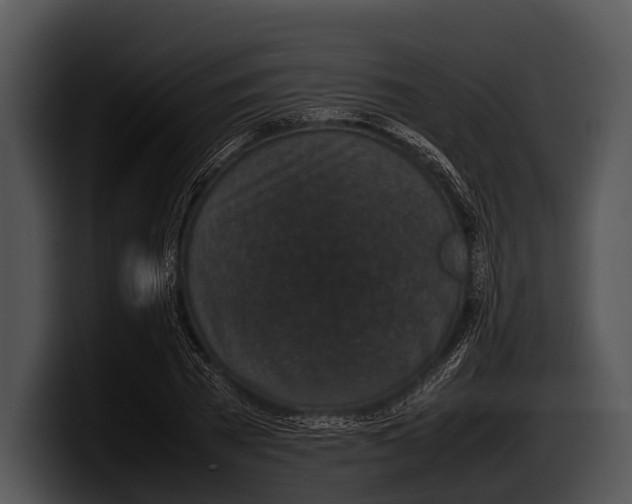 X0000100190785200806201253