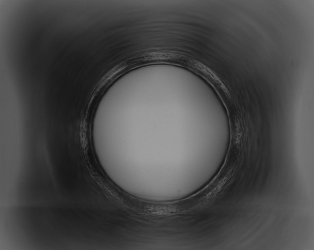 X0000100190786200806201253