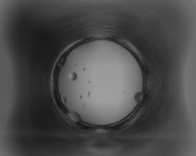 X0000100190787200806201253