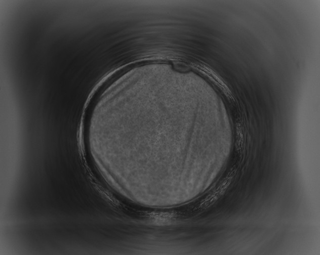 X0000100190788200806201253