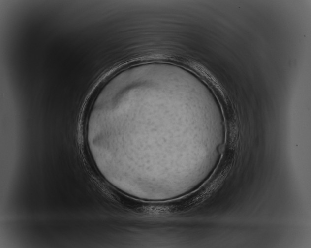 X0000100190789200806201253