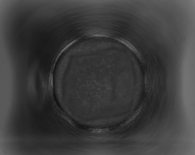 X0000100190790200806201253