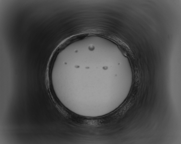 X0000100190792200806201253