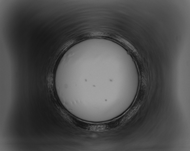 X0000100190793200806201253