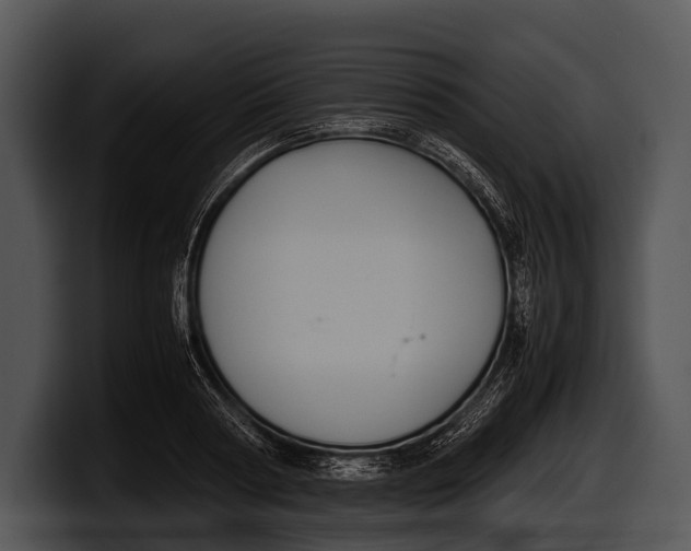 X0000100190794200806201253