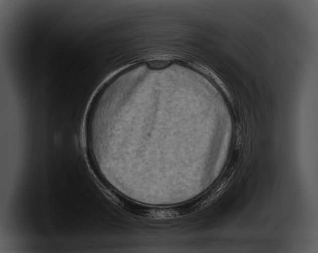 X0000100190795200806201253