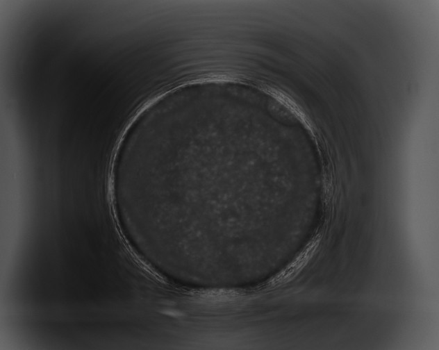 X0000100190797200806201253