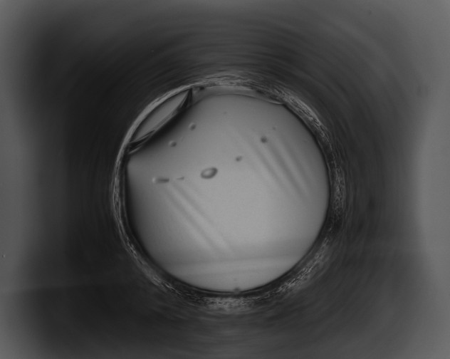 X0000100190800200806201253