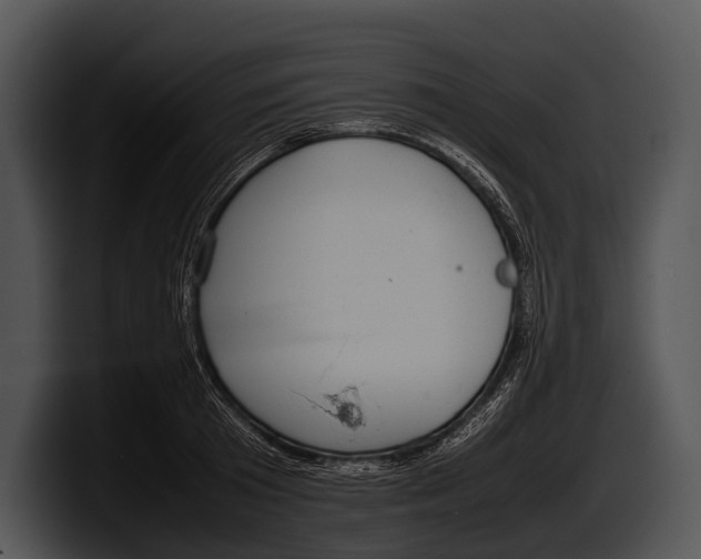 X0000100190801200806201253