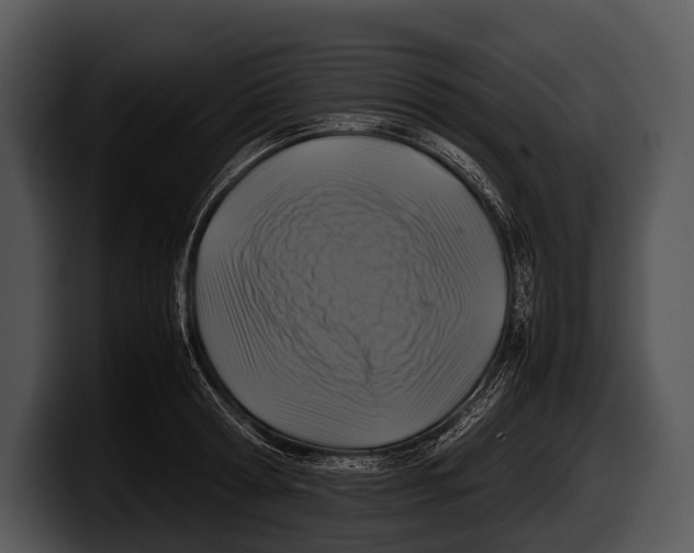 X0000100190802200806201253