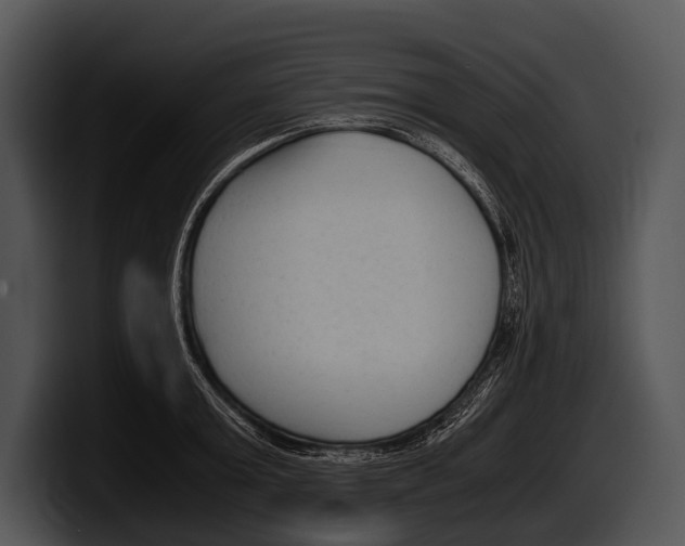 X0000100190803200806201253