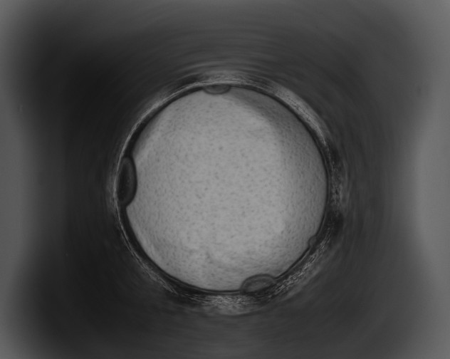 X0000100190805200806201253