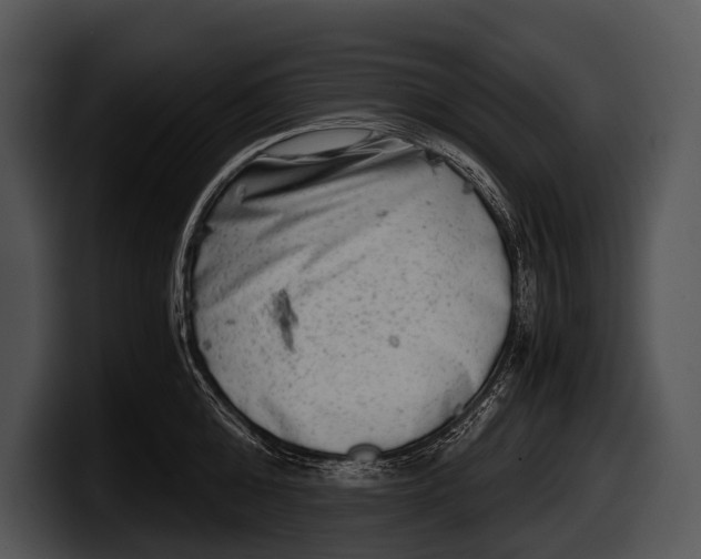 X0000100190808200806201253