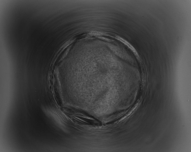 X0000100190809200806201253