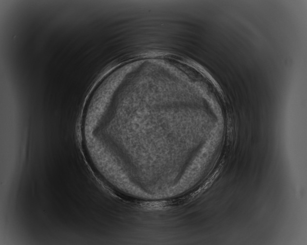 X0000100190810200806201253