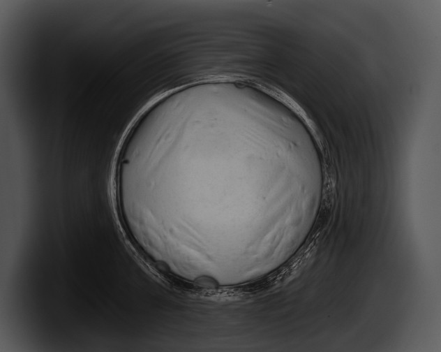 X0000100190811200806201253