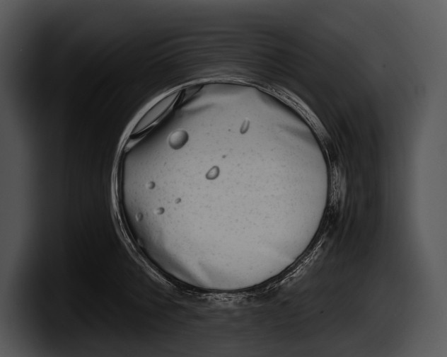 X0000100190812200806201253