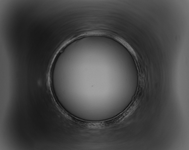 X0000100190813200806201253