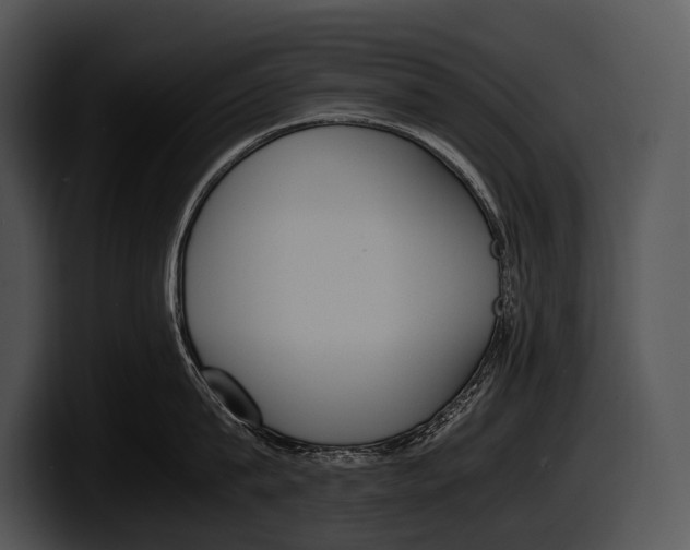 X0000100190815200806201253