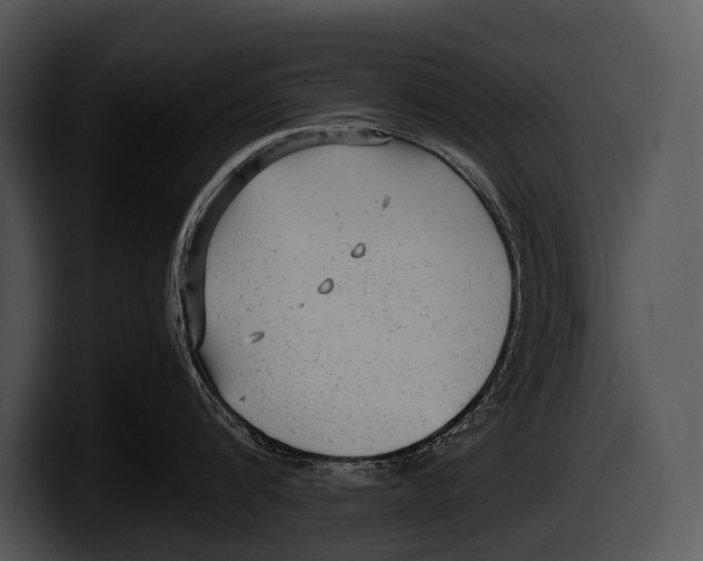 X0000100190816200806201253