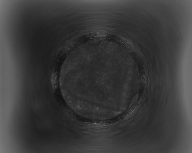 X0000100190818200806201252