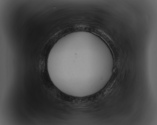 X0000100190821200806201252