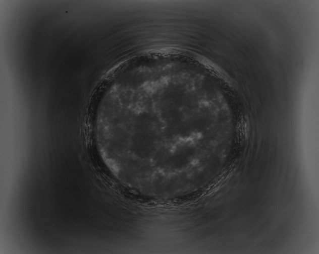 X0000100190822200806201252