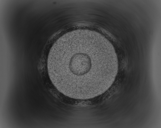 X0000100190824200806201252