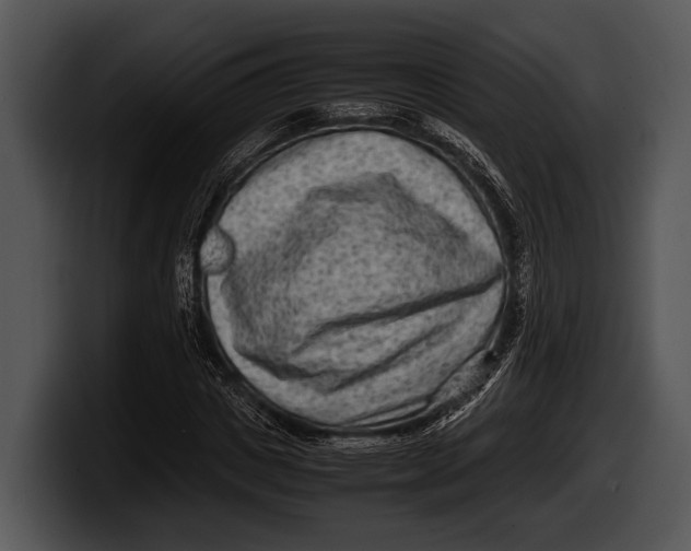 X0000100190825200806201252