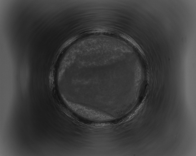 X0000100190826200806201253