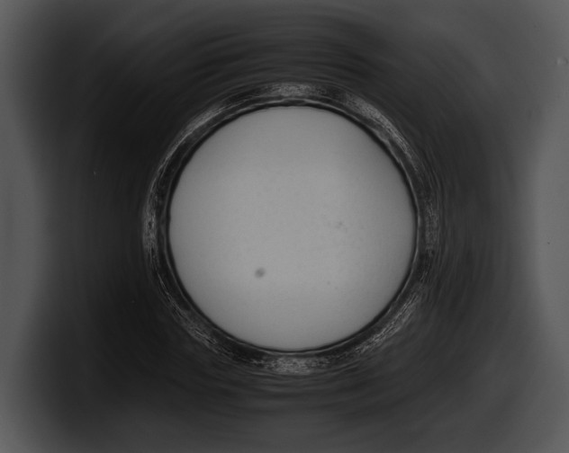 X0000100190827200806201253