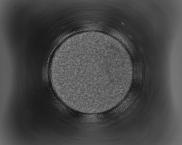 X0000100190828200806201253