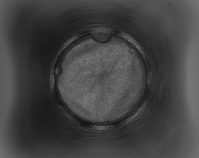 X0000100190829200806201253