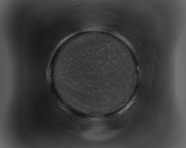 X0000100190830200806201253