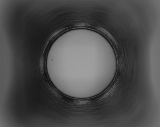 X0000100190831200806201253