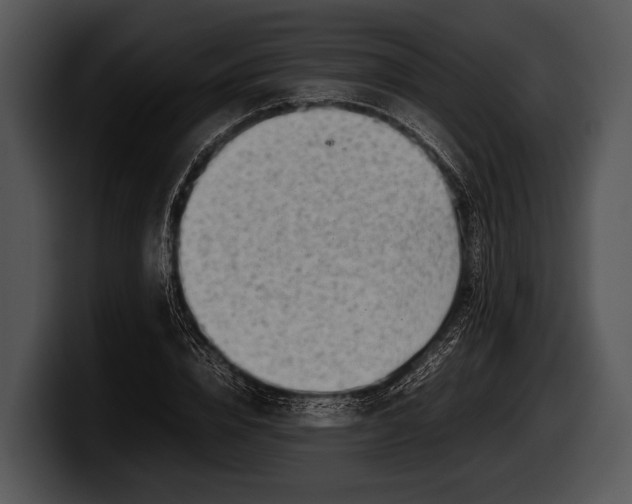 X0000100190832200806201253