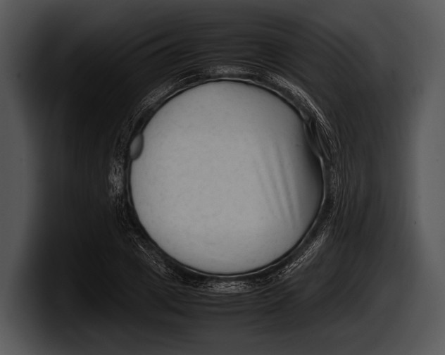 X0000100190833200806201253